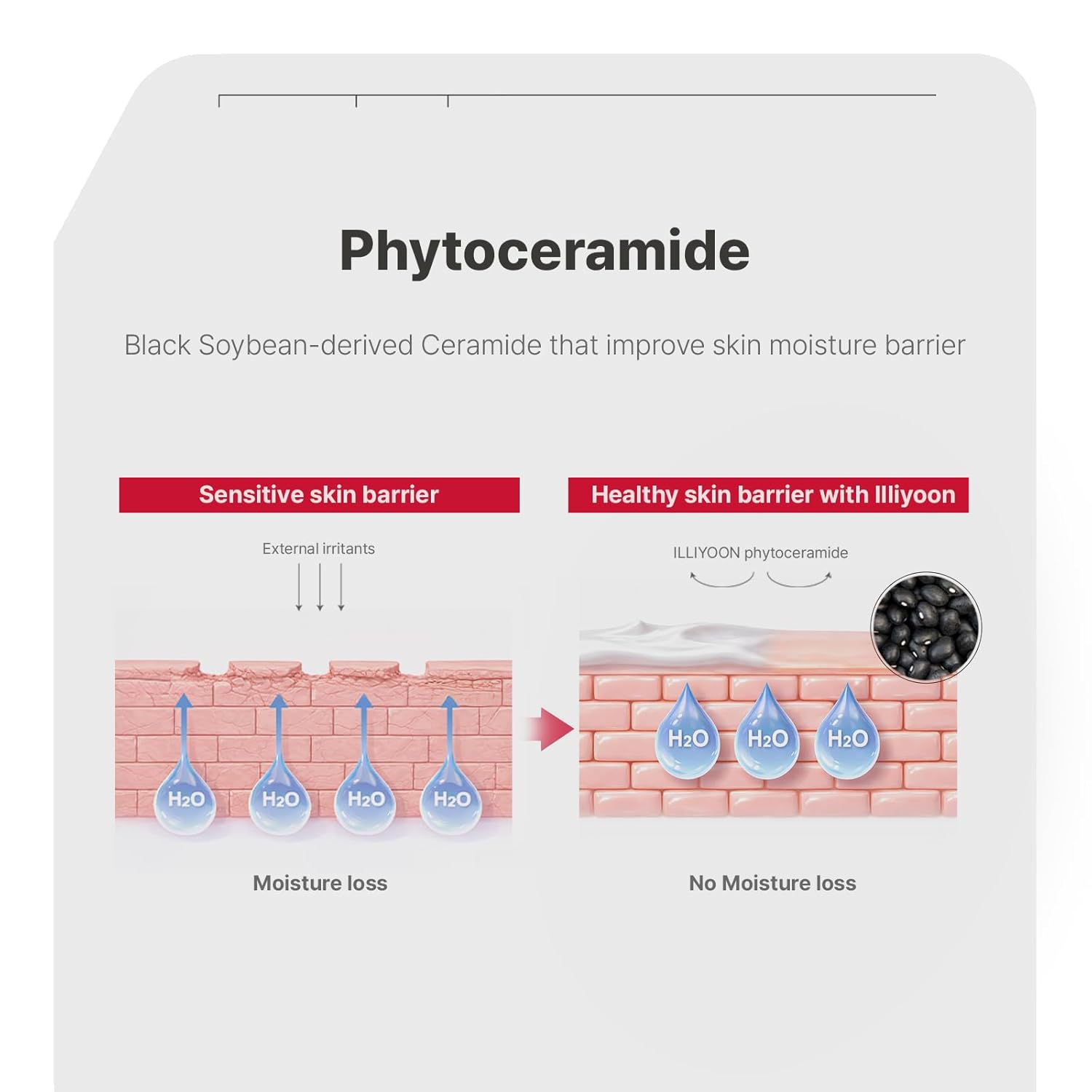 Ceramide Ato Concentrate Cream for Dry and Sensitive Skin with 100-Hour Hydration